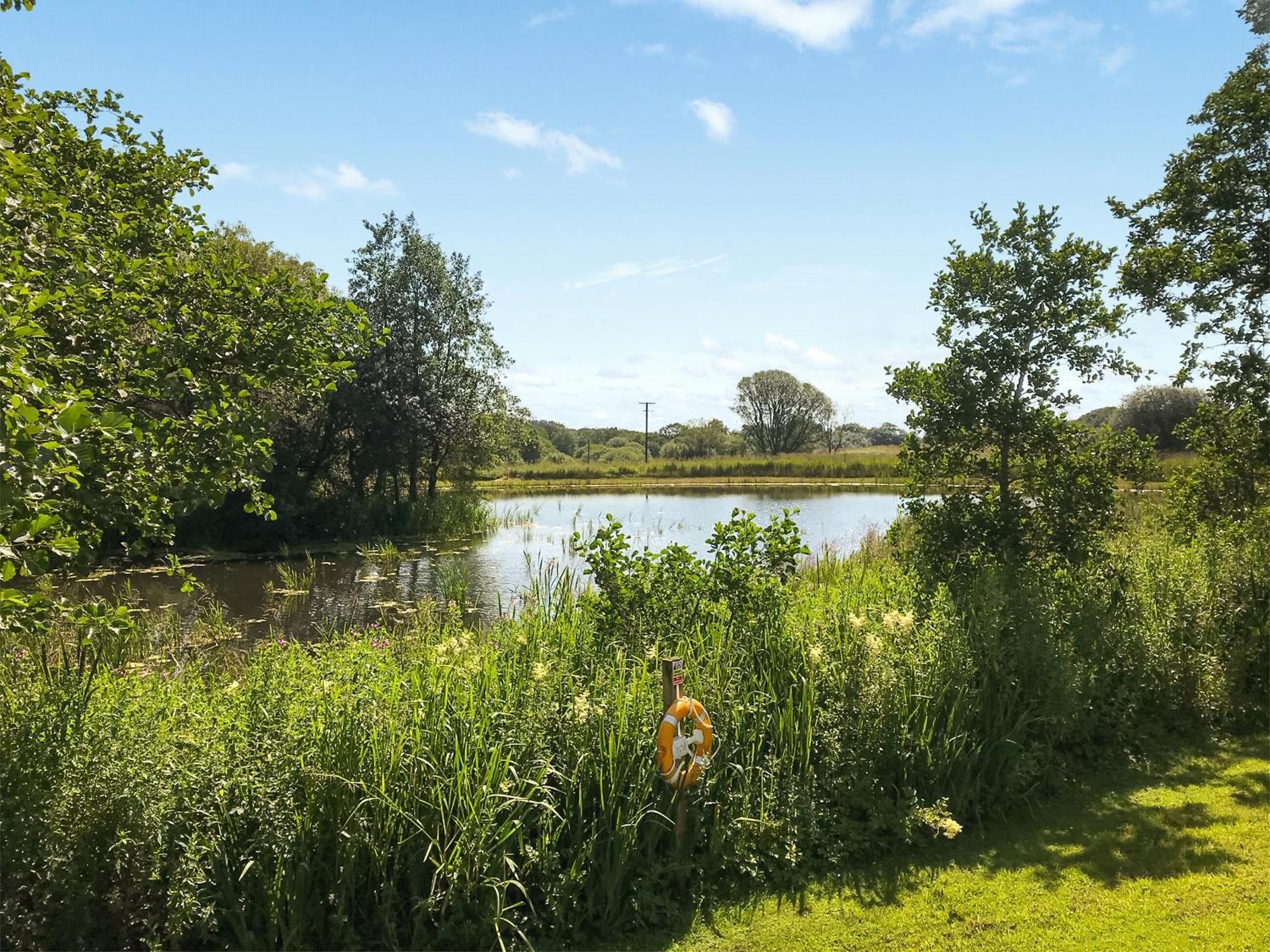 Robin Cottage Llandeilo Zewnętrze zdjęcie